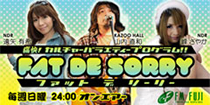 カルチャーバラエティ FAT DE SORRY